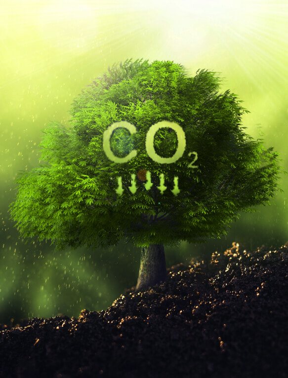Tree with a CO2 symbol, representing low-carbon recycled aluminium
